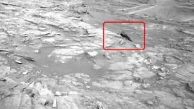 Zakon.kz, фото - Новости Zakon.kz от 13.07.2017 16:14