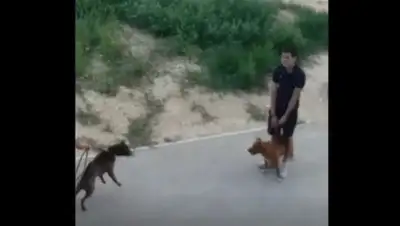 Zakon.kz, фото - Новости Zakon.kz от 26.06.2017 07:10