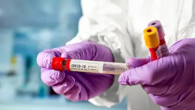 zakon.kz., фото - Новости Zakon.kz от 05.08.2020 08:01