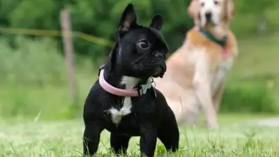 Zakon.kz, фото - Новости Zakon.kz от 11.11.2016 14:39