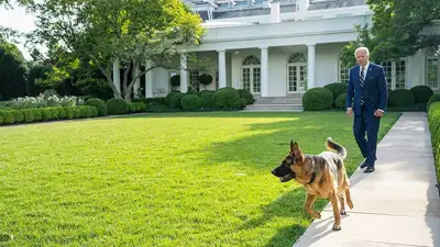собака президента США, фото - Новости Zakon.kz от 26.07.2023 10:39