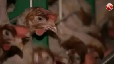 Zakon.kz, фото - Новости Zakon.kz от 09.12.2015 04:30