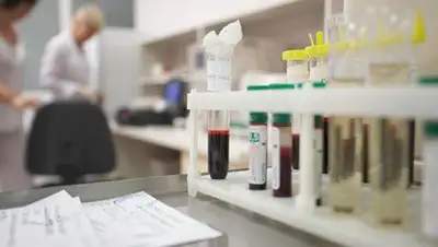 Zakon.kz, фото - Новости Zakon.kz от 24.04.2014 21:34