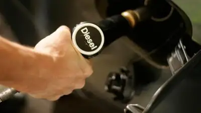 Алау, фото - Новости Zakon.kz от 05.11.2018 11:44