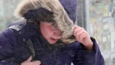 Zakon.kz, фото - Новости Zakon.kz от 05.01.2015 15:29