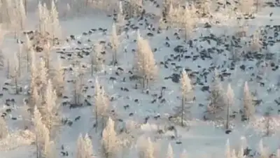 соцсети, фото - Новости Zakon.kz от 31.01.2020 18:19