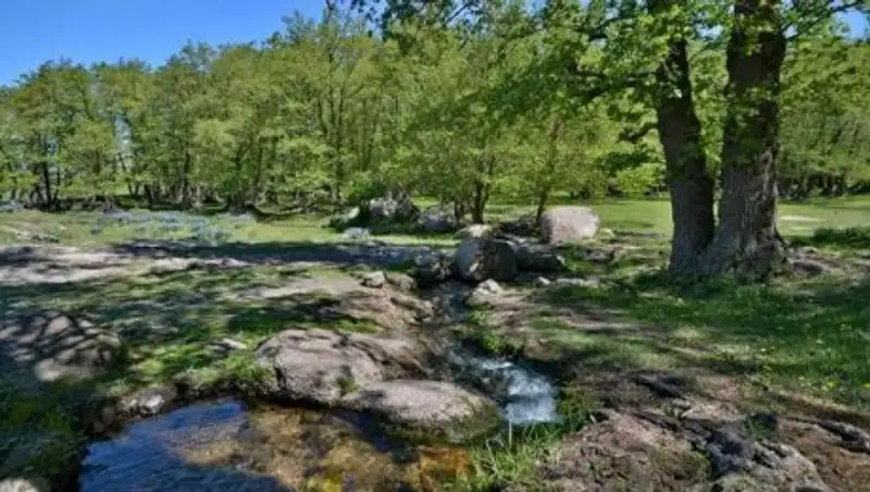 В Павлодарской области презентован новый туристический маршрут по Баянаулу