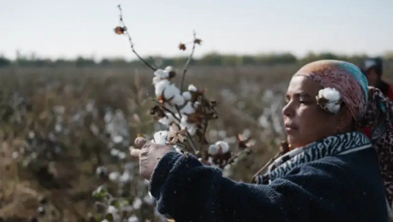 Узбекистан призвал отменить бойкот хлопка