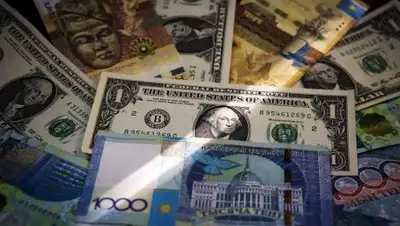 the-steppe.com, фото - Новости Zakon.kz от 13.04.2018 16:12