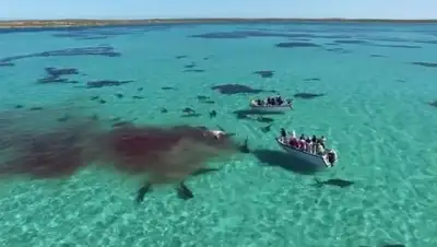 Zakon.kz, фото - Новости Zakon.kz от 23.05.2016 21:35