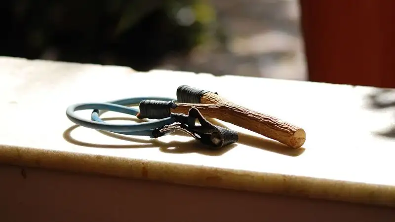 В США подросток с рогаткой отпугнул от сестры потенциального похитителя