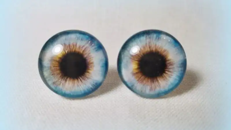 Жизненный цикл глаз