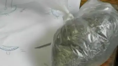 E1, фото - Новости Zakon.kz от 12.02.2018 08:53