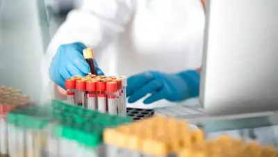 inform, фото - Новости Zakon.kz от 09.08.2020 08:16