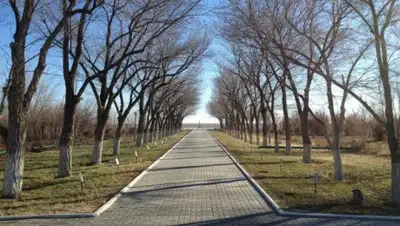 silkadv.com, фото - Новости Zakon.kz от 14.06.2018 15:57