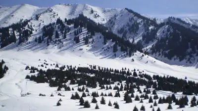 Zakon.kz, фото - Новости Zakon.kz от 21.07.2014 16:58