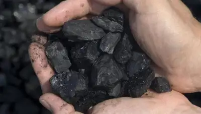 Zakon.kz, фото - Новости Zakon.kz от 23.10.2017 19:49