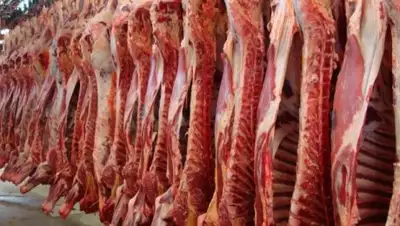 Zakon.kz, фото - Новости Zakon.kz от 17.04.2017 22:32