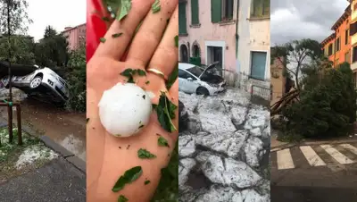 Twitter V, фото - Новости Zakon.kz от 25.08.2020 01:39