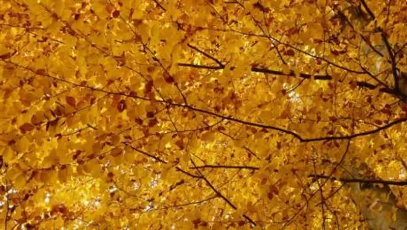 Каким будет октябрь в Казахстане, рассказали синоптики