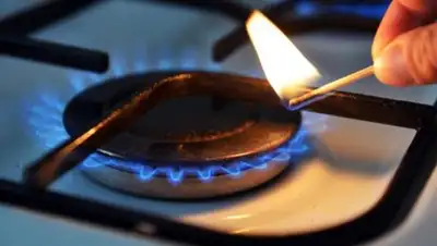 Фото: inform.kz, фото - Новости Zakon.kz от 31.01.2018 15:15