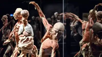 Zakon.kz, фото - Новости Zakon.kz от 03.10.2017 11:49