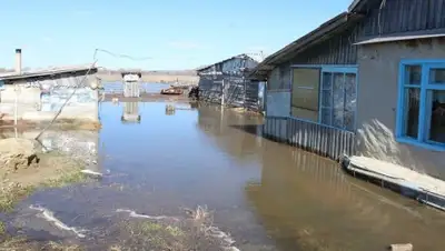 Factcheck.kz, фото - Новости Zakon.kz от 03.08.2019 00:40