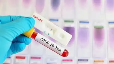 pixabay.com, фото - Новости Zakon.kz от 27.10.2020 18:12