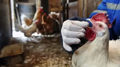 Zakon.kz, фото - Новости Zakon.kz от 17.11.2014 01:55