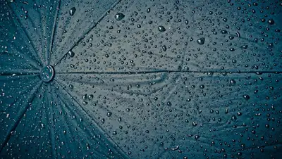 Pixabay, фото - Новости Zakon.kz от 16.06.2019 09:37