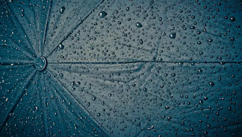 Дожди и грозы сохраняются в Казахстане