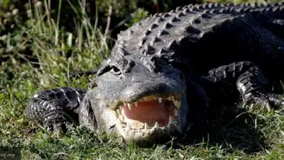 Zakon.kz, фото - Новости Zakon.kz от 22.10.2017 06:40