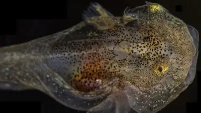 исследование, фото - Новости Zakon.kz от 02.04.2023 19:38