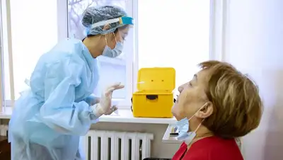 анализ, фото - Новости Zakon.kz от 13.08.2022 08:25