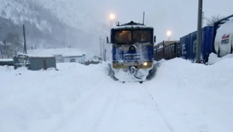 Прокуратора занялась гонявшейся за медведем бригадой локомотива