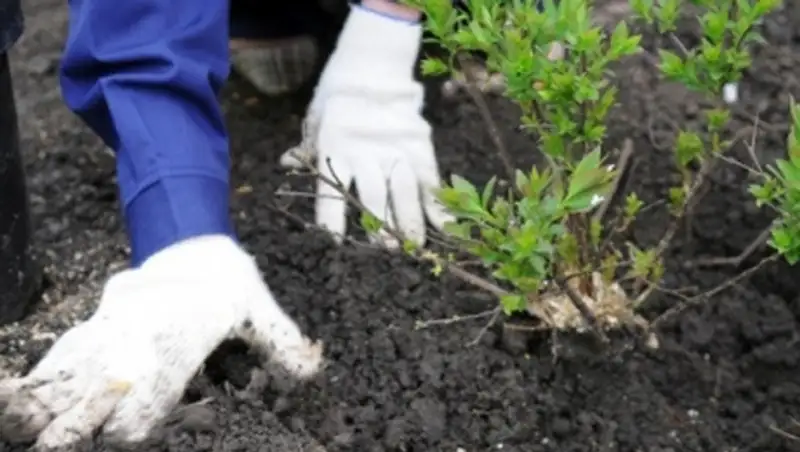 В Астане 23 апреля пройдет большой общегородской субботник