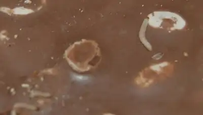 Zakon.kz, фото - Новости Zakon.kz от 18.05.2015 20:37