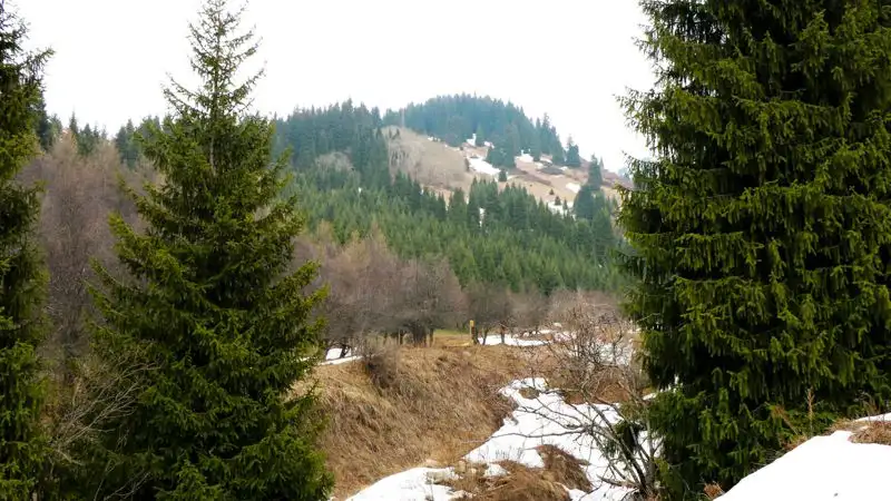 Алматинцев попросили не ходить в горы