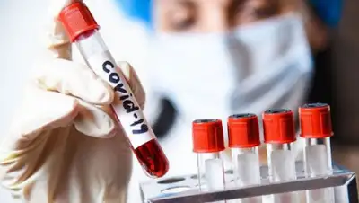 EADaily, фото - Новости Zakon.kz от 11.06.2020 22:11