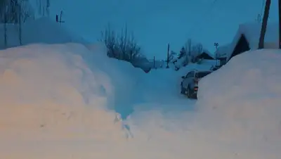 zakon.kz, фото - Новости Zakon.kz от 24.01.2020 15:45