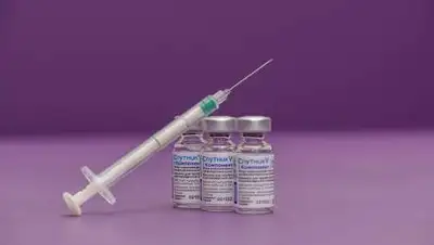 zakon.kz / Максим Золотухин, фото - Новости Zakon.kz от 20.08.2021 19:24