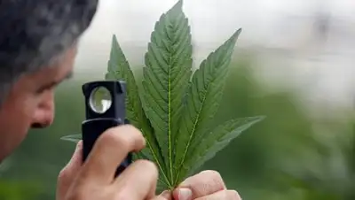 Zakon.kz, фото - Новости Zakon.kz от 21.04.2017 03:41