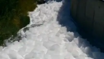 Скриншот, фото - Новости Zakon.kz от 24.07.2020 10:49