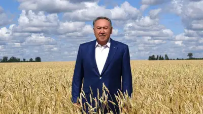 Акорда, фото - Новости Zakon.kz от 19.03.2020 09:36