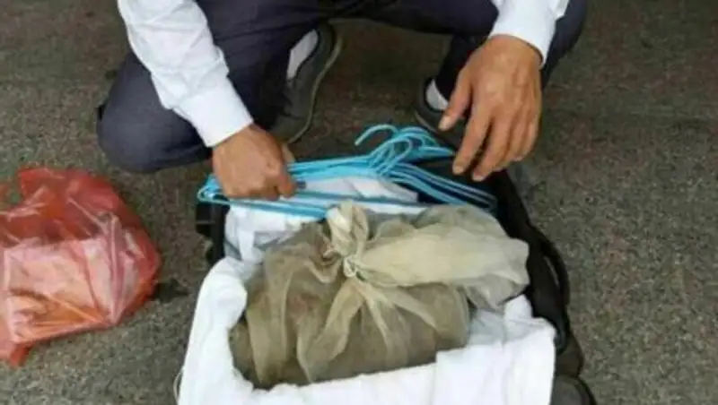 Китаец пытался сесть в поезд с 50 гадюками в чемодане