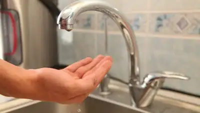 mirtesen.ru, фото - Новости Zakon.kz от 11.12.2019 15:04