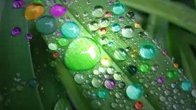 Научно-популярный журнал, фото - Новости Zakon.kz от 31.05.2019 09:13