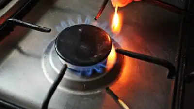 gazeta.ru, фото - Новости Zakon.kz от 08.12.2020 08:50