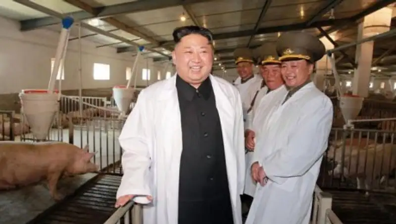 Улыбающегося Ким Чен Ына сфотографировали со свиньями