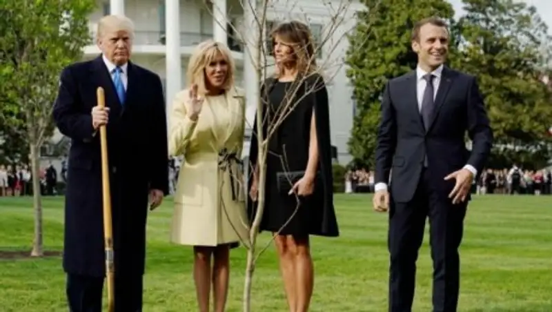 Исчез "дуб дружбы", посаженный Трампом и Макроном у Белого дома